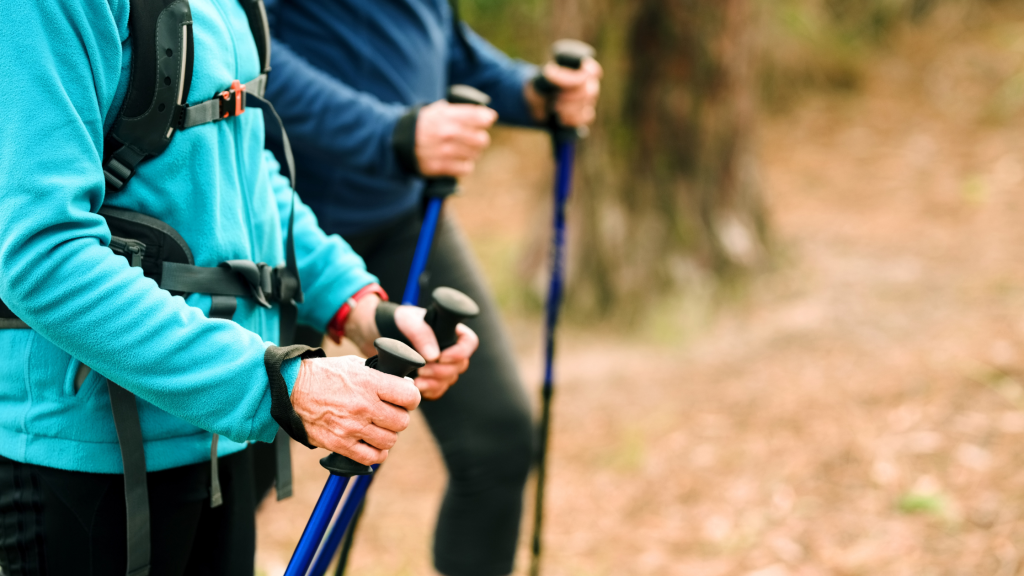 4x4 adventure trailers