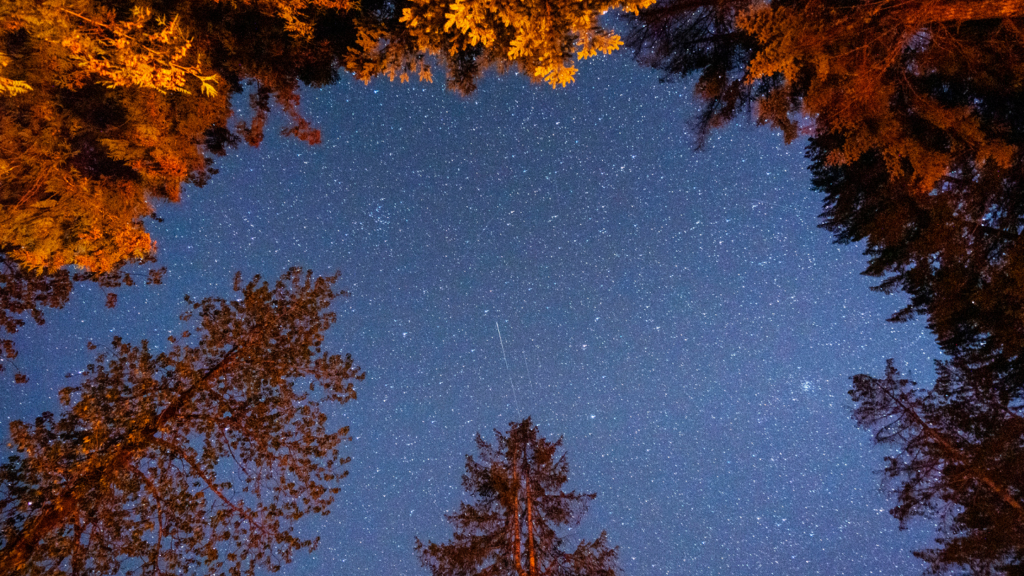 rooftop tent trailer