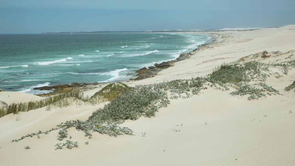 camping trailer roof top tent