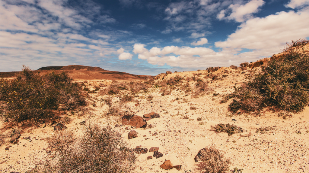 Adventure Camping Trailer