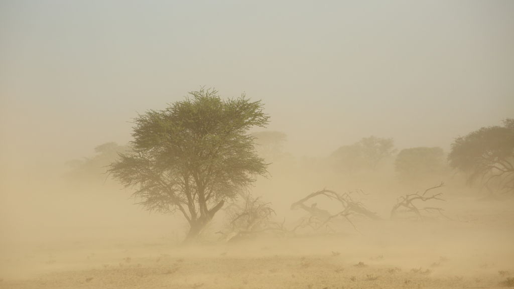 Adventure Camping Trailer