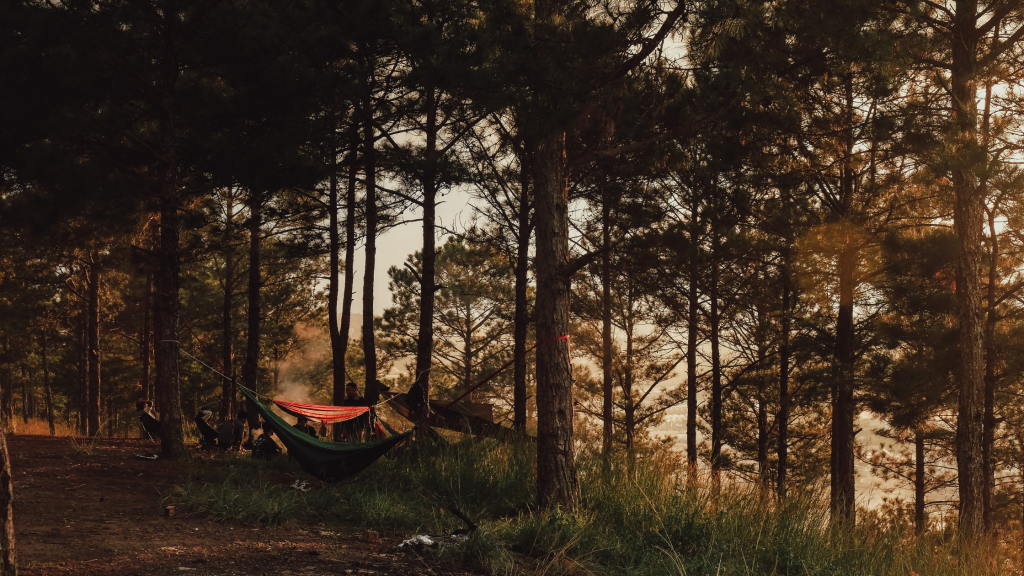 Roof Top Tent Trailer Setup