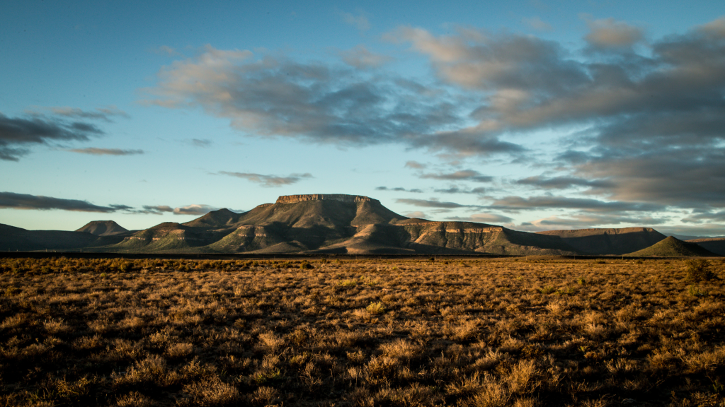 durable off road trailer