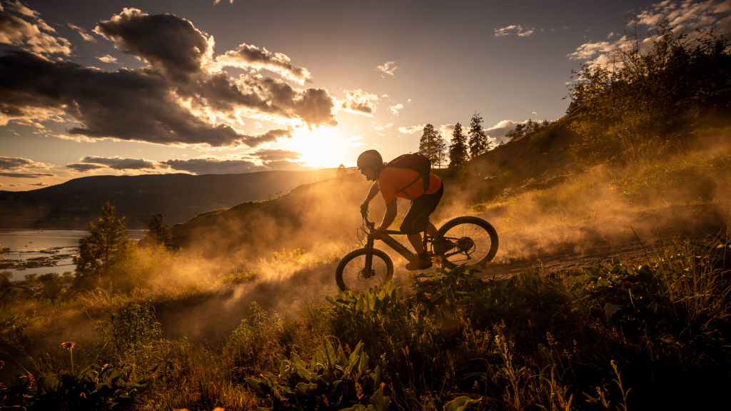 Off Road Trailers South Africa